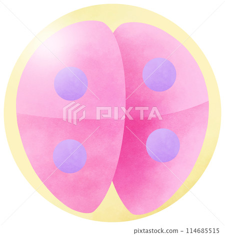 Stages Human Embryonic Development and 4 cell 114685515