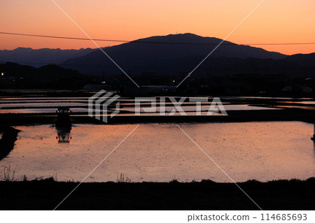 Early spring rural landscape (dusk) - Tractor 114685693