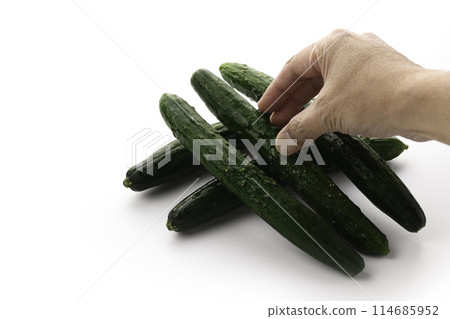 Cucumber (white background) Cucumber (white background) 114685952