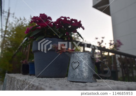 矮人眼中的世界：“花園裡的花壇” 114685953