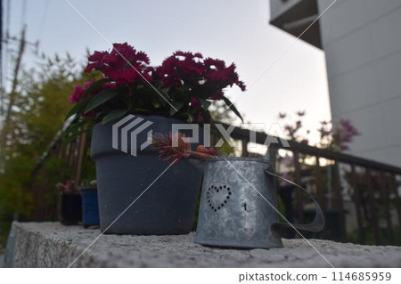 矮人眼中的世界：“花園裡的花壇” 114685959