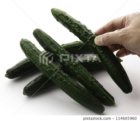 黃瓜(白色背景) 黃瓜(白色背景) 114685960