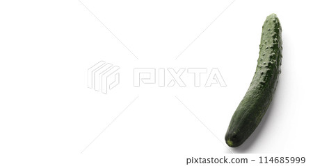 黃瓜（白色背景） 114685999