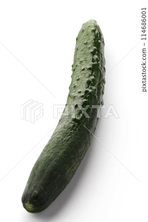 Cucumber (white background) 114686001