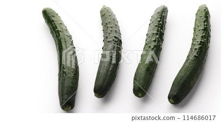 Cucumber (white background) 114686017