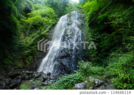 愛媛郡香椿市白尾瀑布中部夏季風景1 114686119