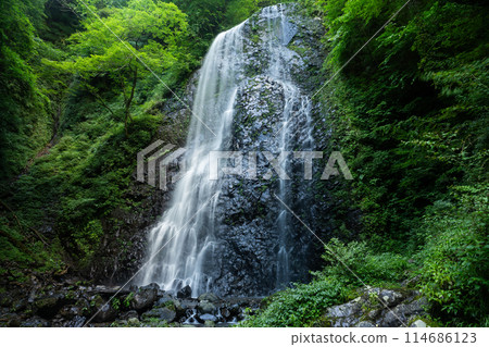 白野瀑布、中部夏季風景3、愛媛郡香椿市 114686123