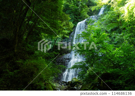 Shirainotaki Falls: Summer scenery of the upper and middle stages 3, Toon City, Ehime Prefecture 114686136