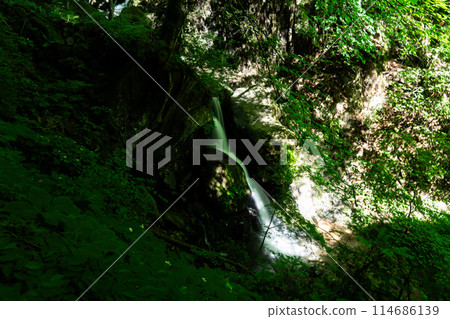 Shirainowaki Falls, Amataki Falls in summer 1, Toon City, Ehime Prefecture Shirainowaki Falls, Amataki Falls in summer 1, Toon City, Ehime Prefecture 114686139