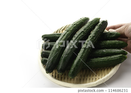 Cucumber on a colander (white background) Cucumber on a colander (white background) 114686231