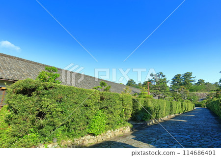 [三重縣]松阪公園城守所（殿町公園）的晴天 114686401
