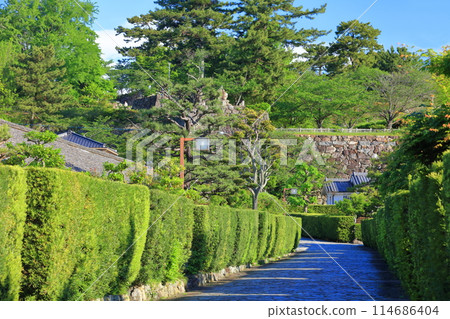 [Mie Prefecture] Castle guard house in Matsusaka Park on a clear day (Tonomachi Park) 114686404
