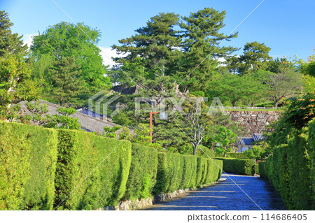 [三重縣]松阪公園城守所（殿町公園）的晴天 114686405