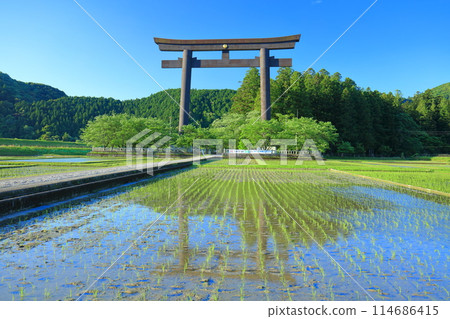 [Wakayama Prefecture] The great torii gate of Oyunohara on a clear day (Kumano Hongu Taisha Shrine) 114686415