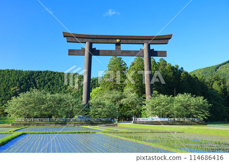 [Wakayama Prefecture] The great torii gate of Oyunohara on a clear day (Kumano Hongu Taisha Shrine) 114686416