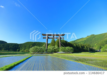 [Wakayama Prefecture] The great torii gate of Oyunohara on a clear day (Kumano Hongu Taisha Shrine) 114686417