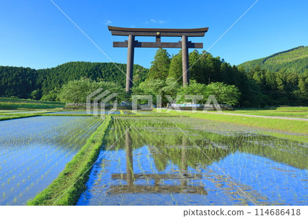 [和歌山縣] 晴天的大西原大鳥居（熊野本宮大社） 114686418