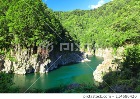 在陽光明媚的日子裡，多羅峽谷 (Dorohaccho) 綠意盎然 114686420