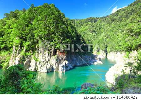 Fresh greenery on a clear day at Toro Gorge (Toro Hachicho) 114686422