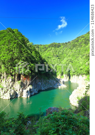 Fresh greenery on a clear day at Toro Gorge (Toro Hachicho) Fresh greenery on a clear day at Toro Gorge (Toro Hachicho) 114686423