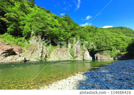 在陽光明媚的日子裡，多羅峽谷 (Dorohaccho) 綠意盎然 114686428