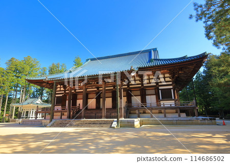 [Wakayama Prefecture] The Golden Hall of the Danjo Garan at Mount Koya on a clear day 114686502