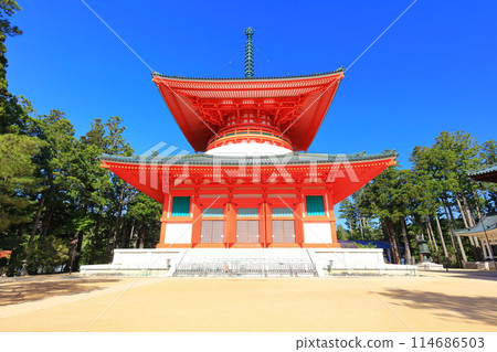 [Wakayama Prefecture] The Konpon Daito of Danjo Garan at Mt. Koya on a clear day 114686503