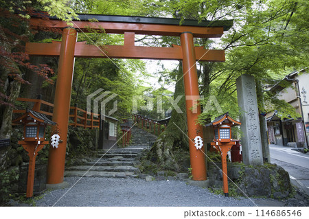Kifune Shrine with fresh greenery, second torii gate, horizontal composition 3 Kifune Shrine with fresh greenery, second torii gate, horizontal composition 3 114686546