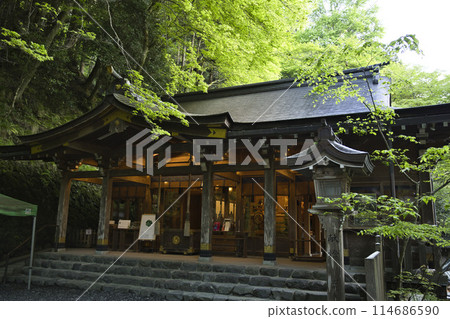 綠意盎然的貴船神社正殿橫向景觀1 綠意盎然的貴船神社正殿橫向景觀1 114686590