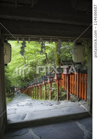 貴船神社，從南門看到的春日燈籠，垂直構圖 1 114686687