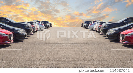 Lot of used car for sales in stock with sky and clouds Lot of used car for sales in stock with sky and clouds 114687041