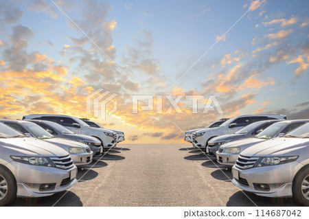 Lot of used car for sales in stock with sky and clouds Lot of used car for sales in stock with sky and clouds 114687042