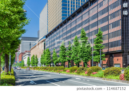 丸之內商業區的東京春天風景與新鮮的綠色路邊樹木 114687152