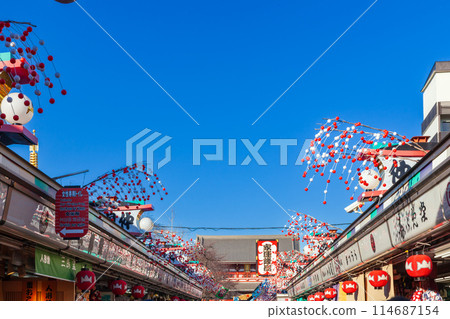 Asakusa during the New Year: New Year scenery in Tokyo 114687154