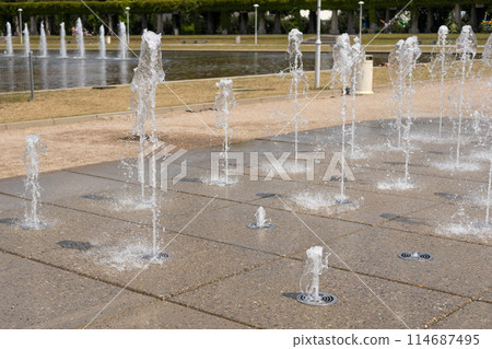 Water droplets spread from the fountain in the air. Splashing water from a fountain in the park. Vertical fountain jets in the sidewalk on the square in the city park. 114687495