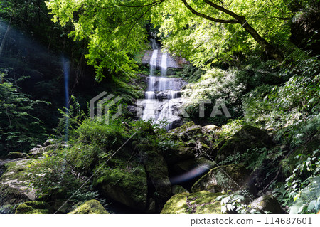 Karasaki Falls Summer Scenery 1 Toon City, Ehime Prefecture 114687601