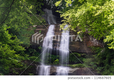 Karasaki Falls Summer Scenery 5 Toon City, Ehime Prefecture Karasaki Falls Summer Scenery 5 Toon City, Ehime Prefecture 114687605