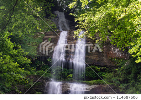 Karasaki Falls Summer Scenery 6 Toon City, Ehime Prefecture 114687606