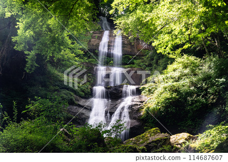 Karasaki Falls Summer Scenery 7 Toon City, Ehime Prefecture 114687607