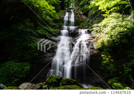 Karasaki Falls Summer Scenery 10 Toon City, Ehime Prefecture 114687610