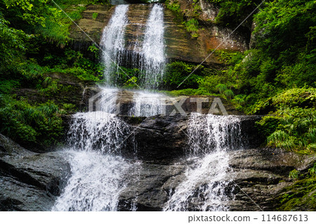 Karasaki Falls Summer Scenery 13 Toon City, Ehime Prefecture 114687613
