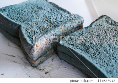 Moldy bread Moldy bread 114687952