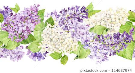 Horizontal seamless border with pink, purple, white and violet lilac. Watercolor spring flowers in botanical style. Hand drawn illustration on transparent background. Pattern for printing on fabric. Horizontal seamless border with pink, purple, white and violet lilac. Watercolor spring flowers in botanical style. Hand drawn illustration on transparent background. Pattern for printing on fabric. 114687974