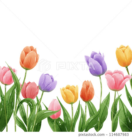 Handdrawn illustration watercolor colorful tulips frames wreaths arrangement Spring floral clipart greeting card bridal shower wedding invitation Botanical painting 114687983