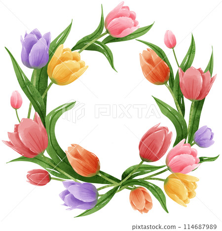 Handdrawn illustration watercolor colorful tulips frames wreaths arrangement Spring floral clipart greeting card bridal shower wedding invitation Botanical painting 114687989