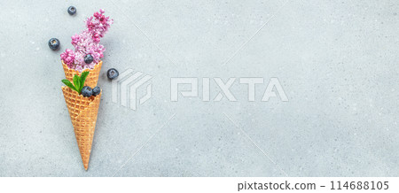 Ice cream cone with flowers, mint leaves and blueberry, summer concept, Long banner format. top view. space for text Ice cream cone with flowers, mint leaves and blueberry, summer concept, Long banner format. top view. space for text 114688105