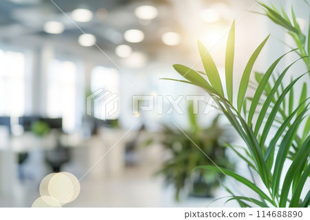 Close up of green plant leaves with a blurred modern office background Close up of green plant leaves with a blurred modern office background 114688890