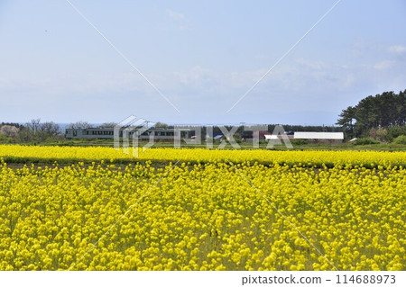 與強姦領域的風景 114688973