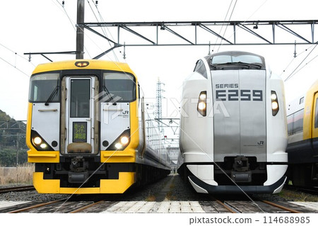 E257系列500系列（家用班輪津田沼展示）和E259系列在電力線上排列 114688985