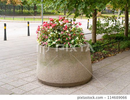 Road Flower Pot, Street Bed, Modern City Floristry, Urban Flowerbeds Design, City Flowers Landscaping Road Flower Pot, Street Bed, Modern City Floristry, Urban Flowerbeds Design, City Flowers Landscaping 114689066